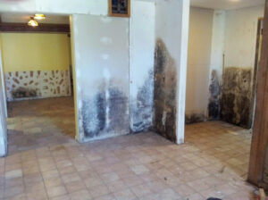 911-restoration-water-mold-flood-norfolk